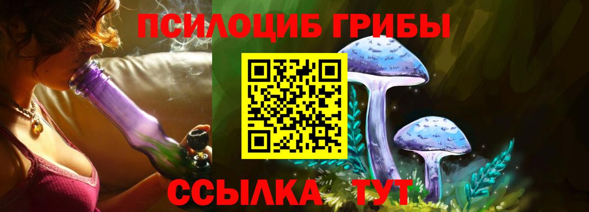 Ирбит  Псилоцибиновые грибы Psilocybine cubensis  Вход с VPN 